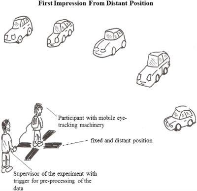 Visual Attention to Novel Products – Cross-Cultural Insights From Physiological Data